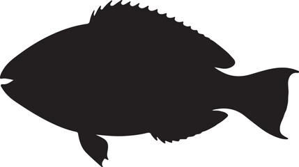 Parrotfish vector silhouette on white background