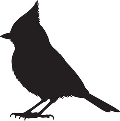 Titmouse Bird silhouette perched in upright pose with short beak on white background © Digital Dreams Studi