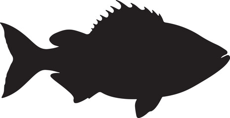 Large deep-sea fish silhouette in side view on white background