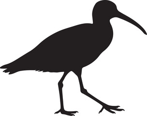 Long-legged wading bird silhouette with curved beak on white background