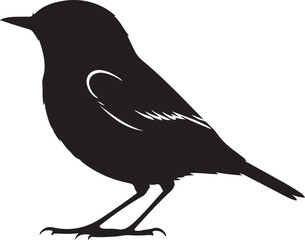 Whinchat Silhouette – Single Icon