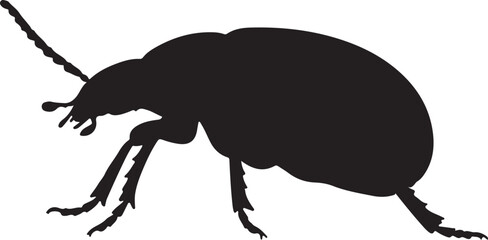 Whirligig Beetle Silhouette &ndash; Single Icon