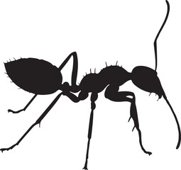 Yellow Crazy Ant Silhouette – Single Icon