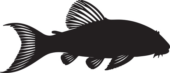 Zebra Pleco Silhouette Side View Single Icon