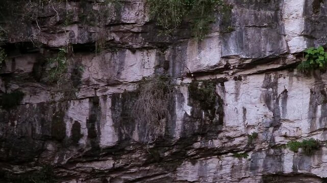 Sotano de las golondrinas basement showing its imposing cliffs