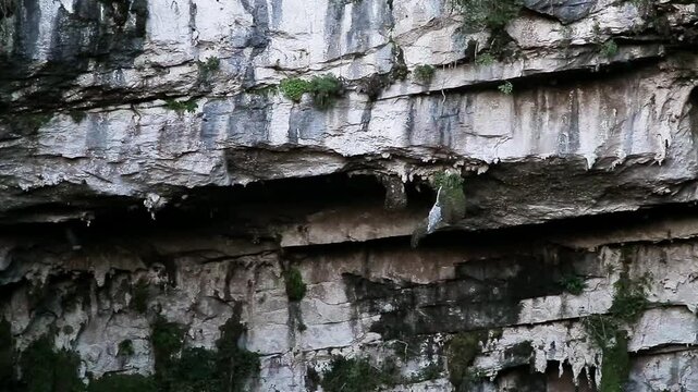 Sotano de las golondrinas basement showing natural abyss in aquismon municipality