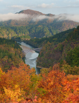 紅葉した第一只見川橋梁