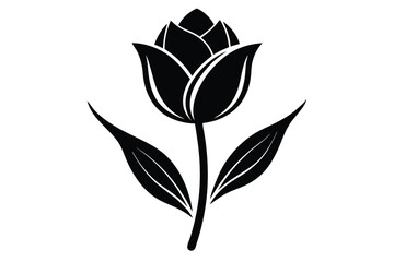 Black tulip flower bud silhouette with stem and leaves shows elegance