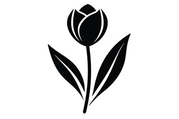 A simple tulip flower stands alone with its sleek, dark, monochrome silhouette