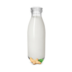 Nut milk in glass bottle and cashews isolated on white