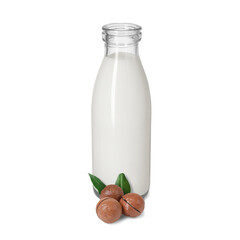 Nut milk in glass bottle and macadamias isolated on white