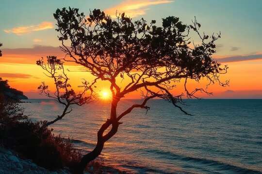 Sunset over the ocean with silhouetted tree on rocky coastline and colorful sky