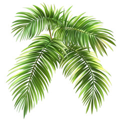 Fototapeta premium Vibrant green tropical palm fronds lush foliage exotic leaves natural on transparent background leaf
