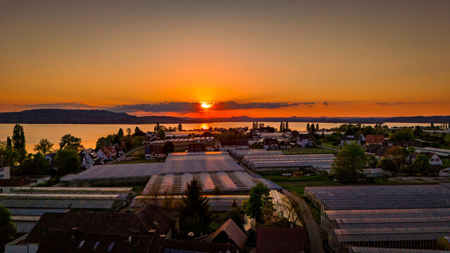 Fototapeta Aerial view over Reichenau Island in Lake Constance with large gardening greenhouses and sundown, Baden-Württemberg, Germany