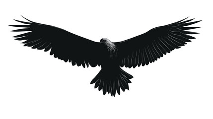 Naklejka premium Eagle with spread wings silhouette vector isolated on white background - 
