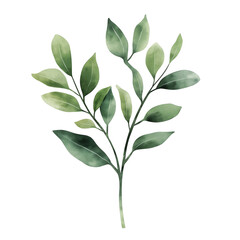 Naklejka premium Watercolour painting of green leaves