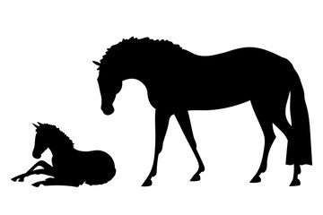 Silhouette of a standing horse looking at a resting foal on a white background