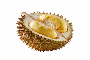 Delicious durian fruit open half showing creamy yellow flesh tropical on transparent background food