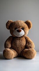 Obraz premium Plush bear Seated fuzzy teddy bear, gray background