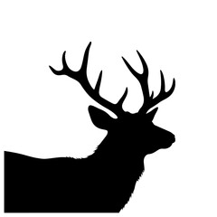 Silhouette of a majestic deer with large antlers, black vector illustration on white background.