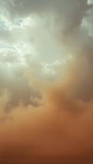 Fototapeta premium plane flying through a cloudy sky over a field