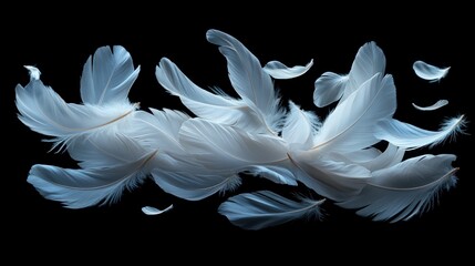 Fototapeta premium Delicate white feathers in motion against a dark background