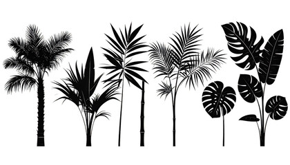 Fototapeta premium Monochrome Tropical Plants Collection for Modern Design