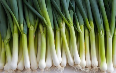 Obraz premium Fresh Scallions Close Up