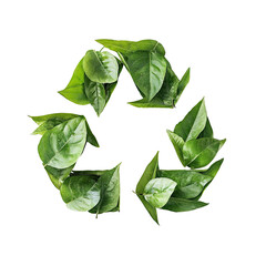 Green leaves in recycling symbol