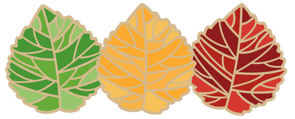 Fototapeta premium Aspen Leaves