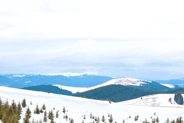 Serene winter landscape features snow-covered hills dotted with evergreen trees under a cloudy sky. In distance, rugged mountains with blue-tinted peaks rise, creating a tranquil and expansive scene