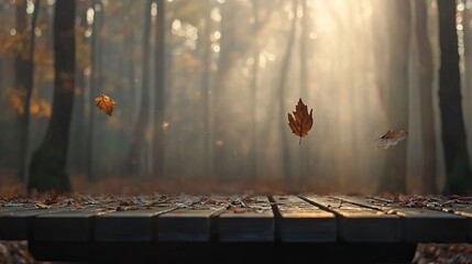 Tranquil Forest Scene with Leaves Floating in Warm Autumn Light