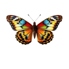 Obraz premium Butterfly with Open Wings on Transparent Background