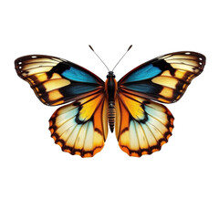 Fototapeta premium Butterfly with Open Wings on Transparent Background