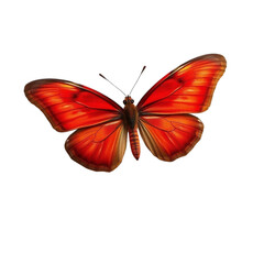Obraz premium Butterfly with Open Wings on Transparent Background
