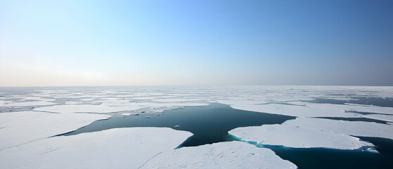 Obraz premium Arctic Landscape Of Frozen Ice Floes