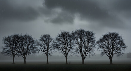 Fototapeta premium Monochrome Landscape: Five Trees Standing Silently Under a Stormy Sky