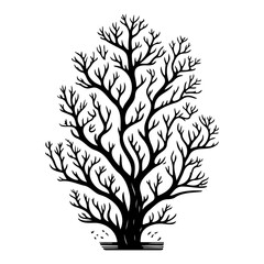 Stylized bare tree illustration in monochrome, a stark depiction of nature's simplicity