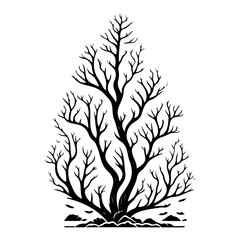 Silhouette of a Bare Tree Against White Backdrop: A Stark Botanical Illustration