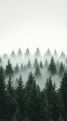 Fototapeta premium Misty forest scene