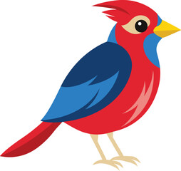 Colorful Exotic Bird Vector Illustration on White Background.