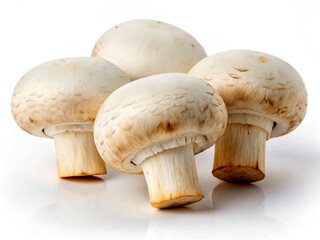 mushrooms on white background. mushroom, isolated, food, white, boletus, edible, fungus, vegetable, nature, brown, ingredient, fresh, raw, cep, autumn, healthy, fungi, cap, organic, vegetarian, forest