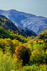 autumn landscape with mountains