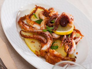 Seafood lunch. Tasty fried squid or octopus tentacles closeup. High quality photo
