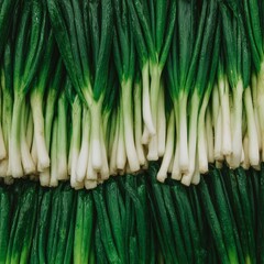 Fresh Green Spring Onions at Farmer's Market