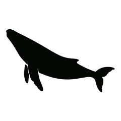 Whale Silhouette