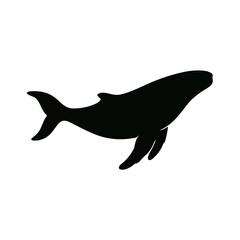 Whale Silhouette