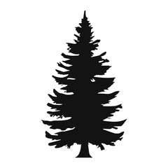 Obraz premium wild tree silhouette