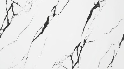 Fototapeta premium Stunning Black and White Marble Pattern for Interior Design marble stone texture.