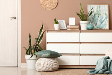 Chest of drawers with Sansevieria plants, books, frames and painting in living room interior